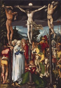 Immagine sconosciuta