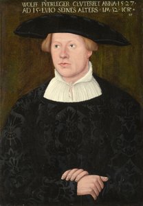 Ritratto di Wolff Fürleger da Hans Brosamer