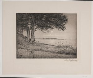 Fiordo di Vejle da Hans Christian Gether Caspersen