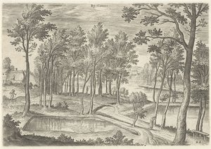 Veduta degli stagni di Ter Kameren da Hans Collaert (I)