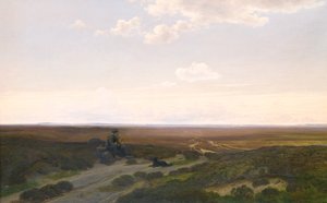 Veduta delle brughiere di Pårup vicino a Silkeborg, Jutland da Hans Friis