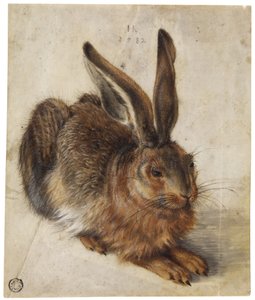 Una lepre da Hans Hoffmann