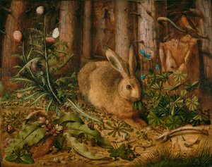 Una lepre nella foresta da Hans Hoffmann