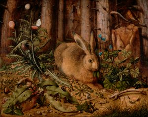 Una lepre nella foresta, c.1585