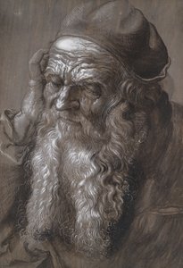 Un vecchio di 93 anni: San Girolamo (pennello e inchiostro) da Hans Hoffmann