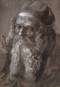 Un vecchio di 93 anni San Girolamo