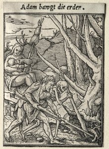 Danza della Morte: Adamo che ara il terreno da Hans Holbein