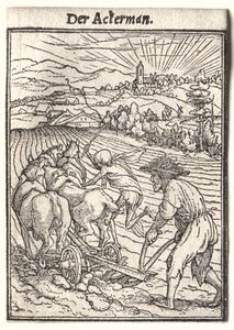 Danza della morte: Il contadino da Hans Holbein