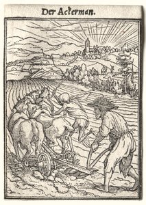 Danza della Morte: Il Contadino da Hans Holbein