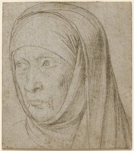 Testa di una vecchia donna, c. 1500