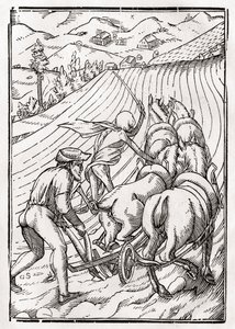 La Morte arriva per il Contadino, inciso da Georg Scharffenberg, da 
