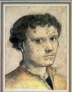 Testa di un giovane uomo da Hans Holbein der Jüngere