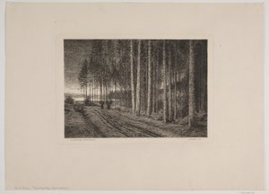 Giorno di pioggia nella foresta di abeti da Hans Julius Fæster