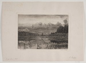 Lago nella foresta di abeti da Hans Julius Fæster