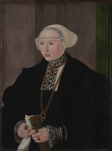 Ritratto di Maria Kitscher, Frau von Freyberg da Hans Mielich