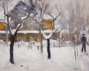 Paesaggio invernale