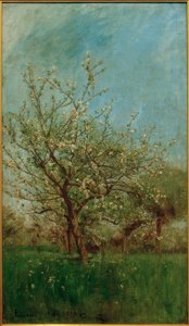 Alberi in fiore a Uerdenbach