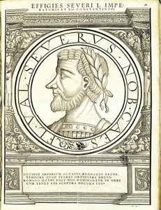 Seuerus D, illustrazione da 