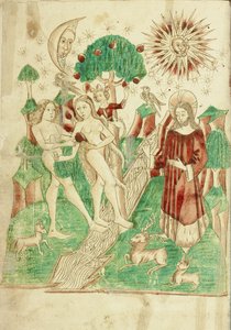 Il giardino dell