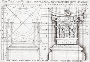 Sezione trasversale di un capitello corinzio e disegno proporzionale