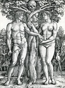 La caduta di Adamo ed Eva, c.1525-27 da Hans Sebald Beham