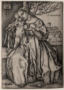 Vergine con il Pappagallo da Hans Sebald Beham