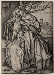 Vergine con il Pappagallo, 1549 da Hans Sebald Beham