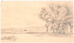 Paesaggio con campo arato; a destra alberi alti da Hans Smidth