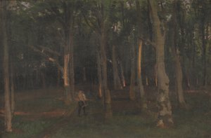 Bosco al Tramonto