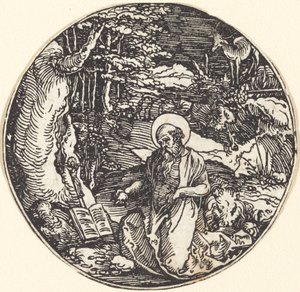 San Girolamo in penitenza da Hans Springinklee