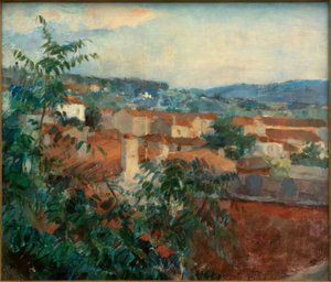 Paesaggio vicino a St. Tropez