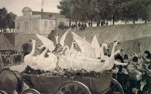 Cigni selvatici, illustrazione di Hans Tegner (1853-1932) per la fiaba di Hans Christian Andersen (1805-1875) da Hans Tegner