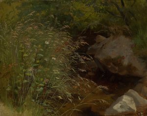 Erbe lungo la riva del ruscello da Hans Thoma