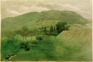 Paesaggio della Foresta Nera