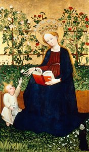 Le fragole Vergine