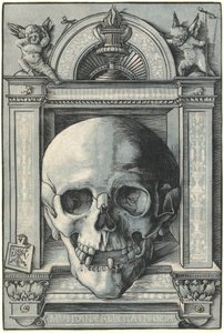 Teschio