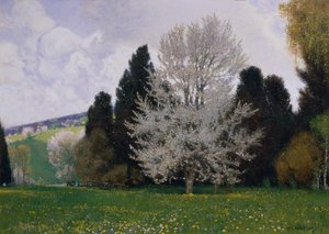 Primavera nel Wienerwald
