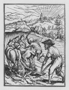 La danza della morte di Holbein: Il contadino da Hans after Holbein the Younger