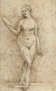 Nudo con specchio (Vanitas)