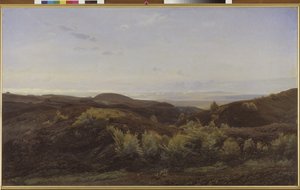 Colline di erica vicino a Rye, Jutland da Harald Foss