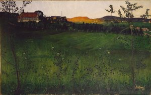 Campo maturo