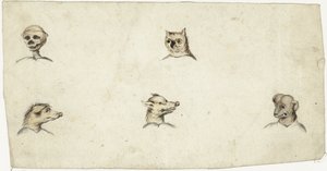Teste di quattro animali e uno scheletro