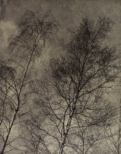 ... il loro fascino è scritto lungo un cielo liquido, Robert Bridges da Harold Burdekin