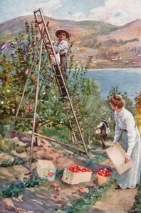 Un ranch di frutta a Nelson, Columbia Britannica da Harold Copping