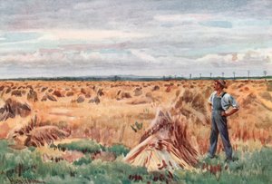Lungo i Campi di Grano del Manitoba