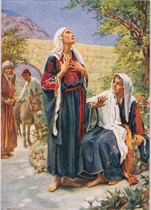 Elisabetta, illustrazione da 