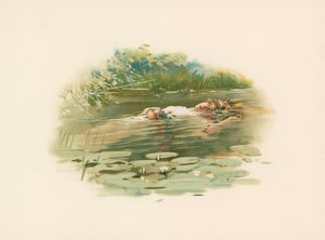 Ofelia, annegata da Harold Copping