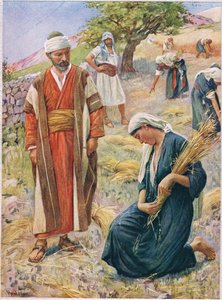 Ruth, illustrazione da 