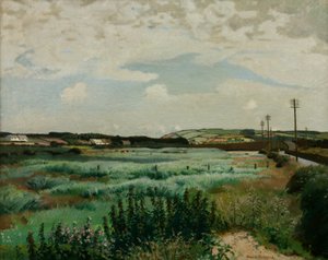 Palude di Marazion da Harold Harvey