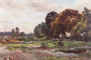 Un Angolo di Esher Common da Harold Sutton Palmer
